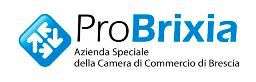 ProBrixia